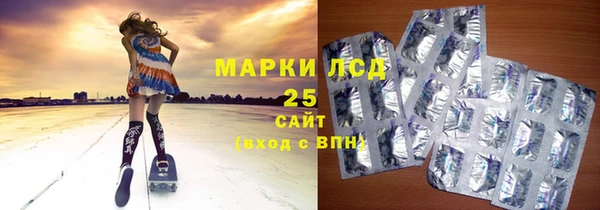 молекула духа Богданович