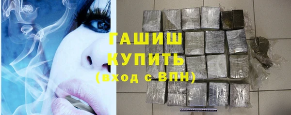 молекула духа Богданович