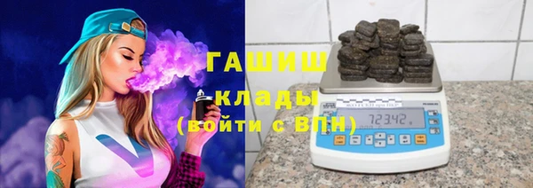 молекула духа Богданович