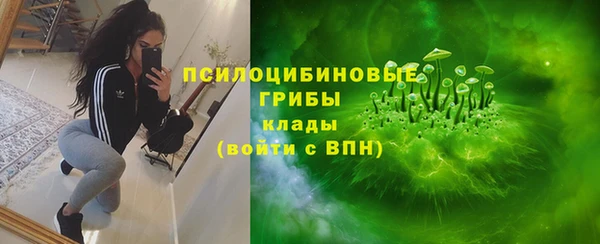 spice Богородск