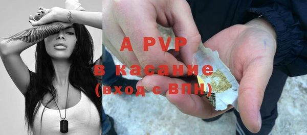 молекула духа Богданович