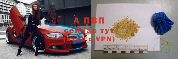 spice Богородск
