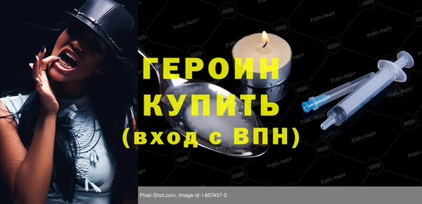 молекула духа Богданович