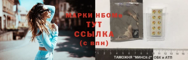 молекула духа Богданович
