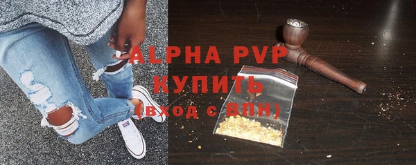 spice Богородск