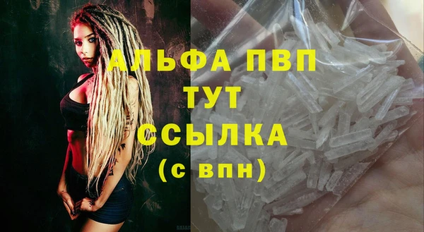 молекула духа Богданович