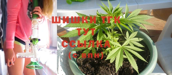 молекула духа Богданович