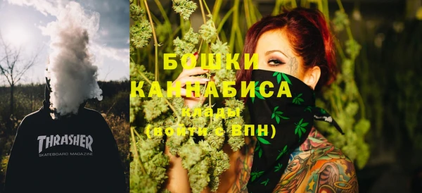 spice Богородск