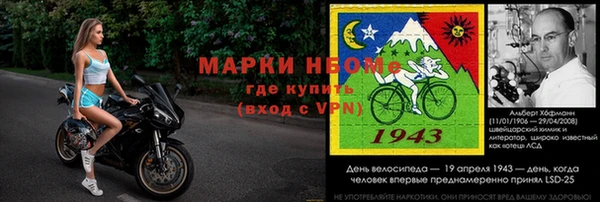 молекула духа Богданович