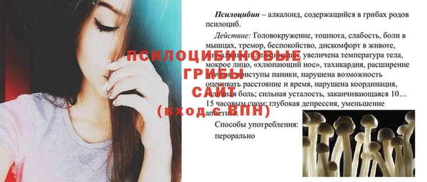spice Богородск