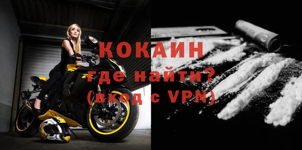 молекула духа Богданович