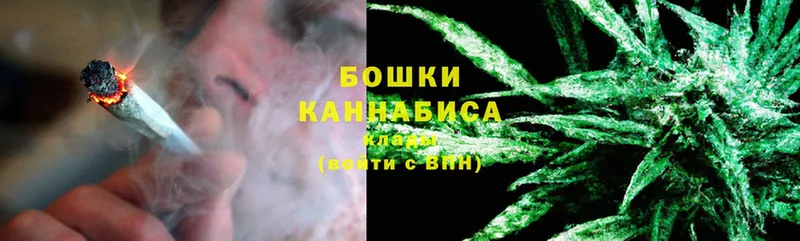 Бошки марихуана THC 21%  Бокситогорск 